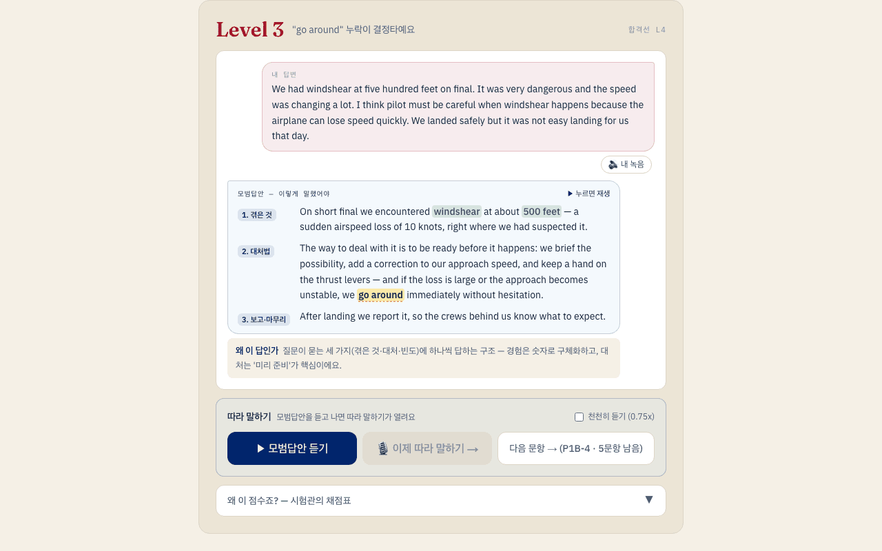 Plain English 의견형 답안 채점 화면 — 답안 구조 분해